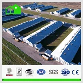 חוות חזירים במבנה פלדה